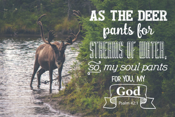 My Soul Pants For You – Psalm 42:1
