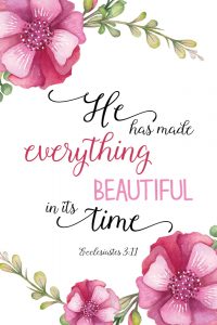He has made everything beautiful – Ecclesiastes 3:11 – Seeds of Faith