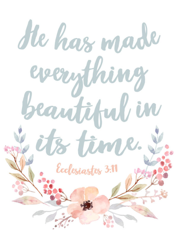 He has made everything beautiful in it's time - Ecclesiastes 3:11