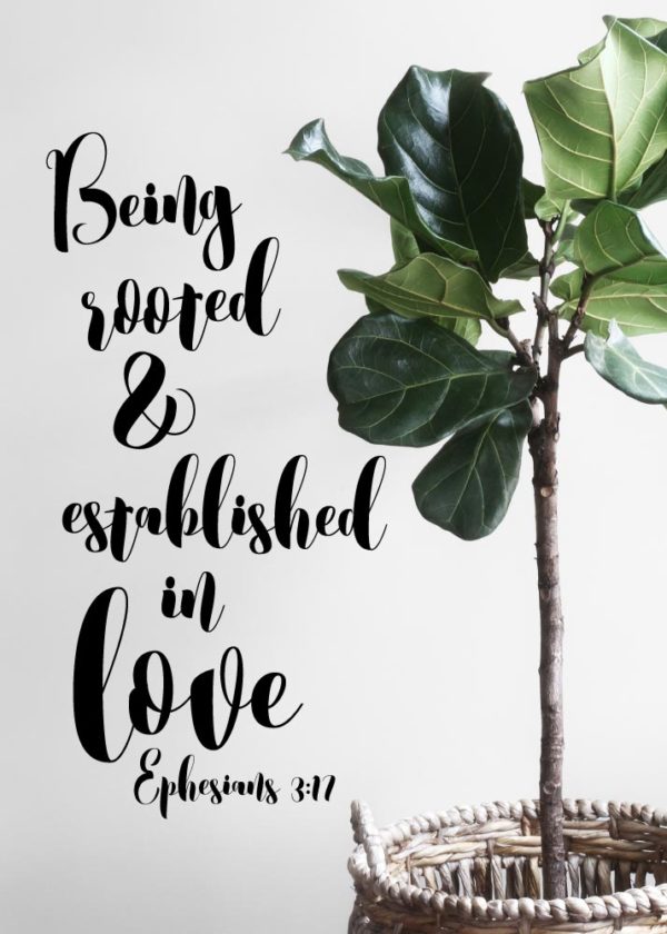 Being rooted & established in love - Ephesians 3:17