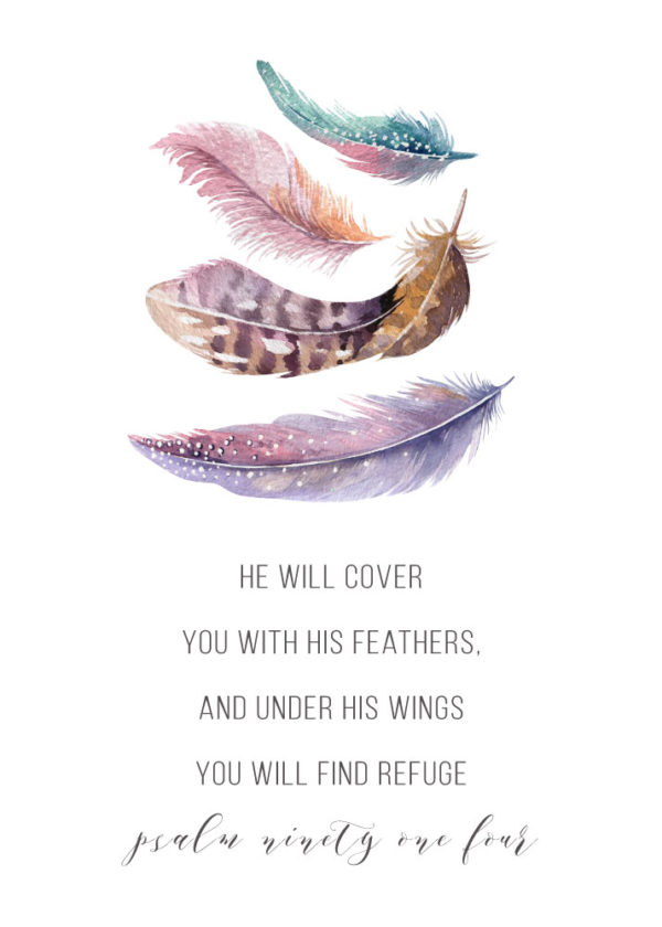 He will cover you with His feathers - Psalm 91:4