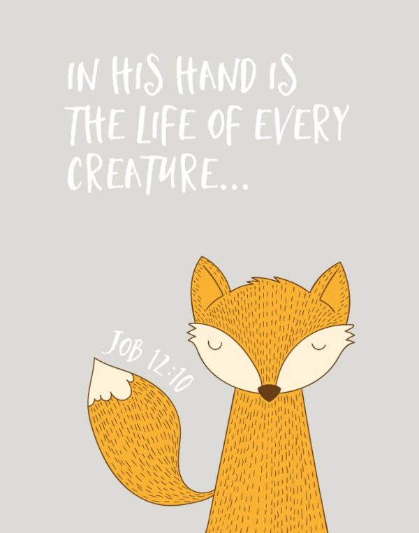 In His hand is the life of every creature - Job 12:10