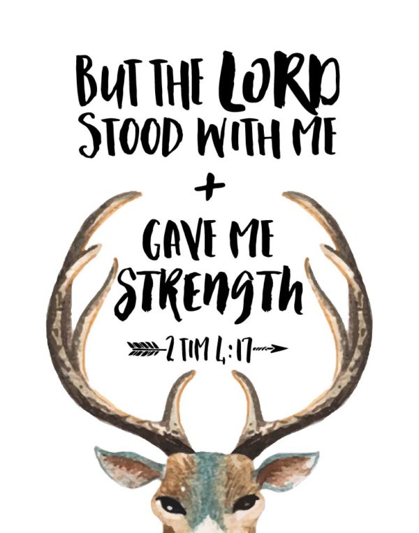 But the Lord stood with me and gave me strength - 2 Timothy 4:17