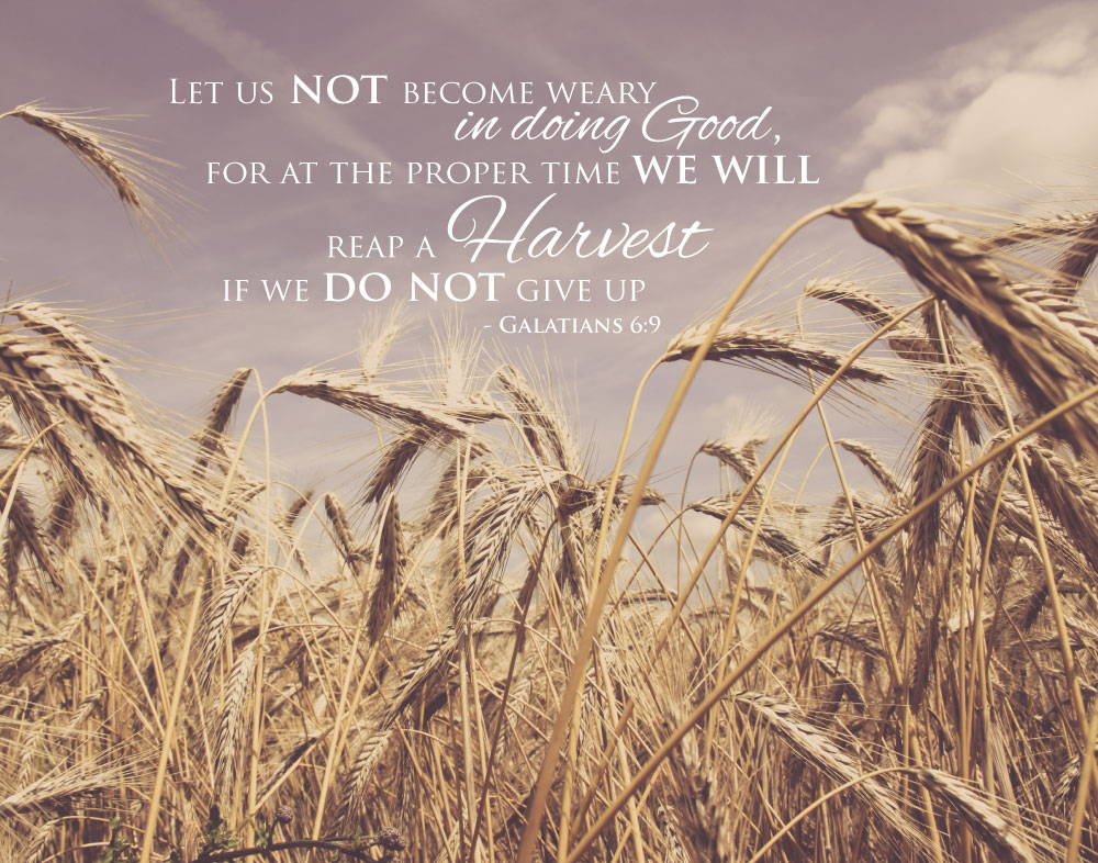 Let Us Not Become Weary In Doing Good Meaning