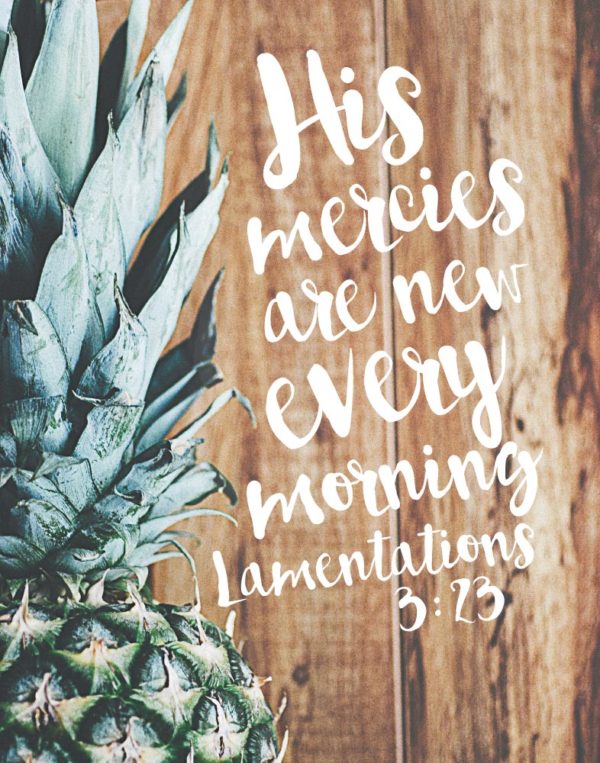 His mercies are new every morning - Lamentations 3:23