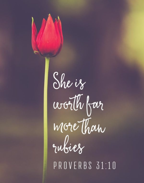 She is worth far more than rubies - Proverbs 31:10