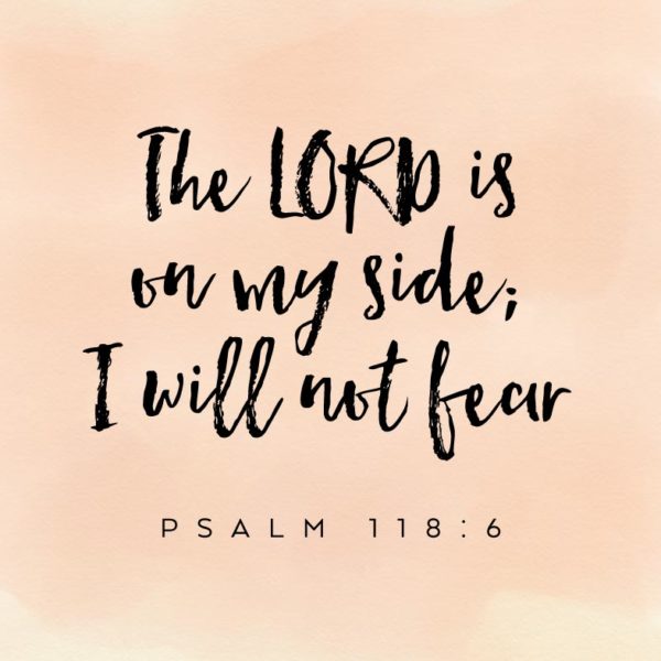 Bless the Lord oh my soul – Psalm 103:1 – Seeds of Faith