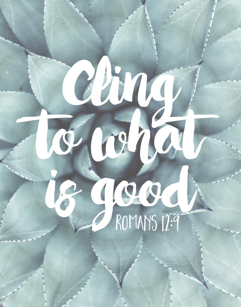 Cling to what is good - Romans 12:9 - Seeds of Faith