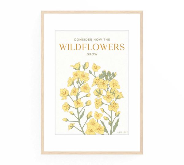 Consider How the Wildflowers Grow - Luke 12:27