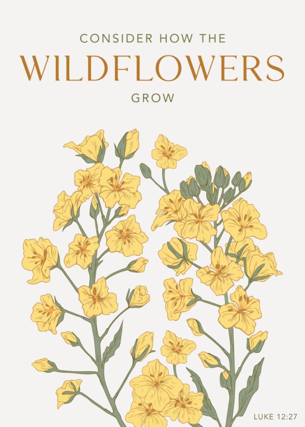 Consider How the Wildflowers Grow - Luke 12:27
